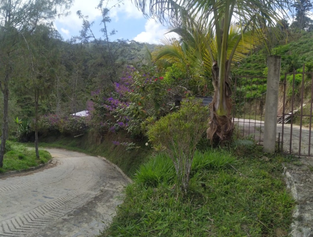 Alejandría - Guatapé, Alejandría, Antioquia, Colombia 5